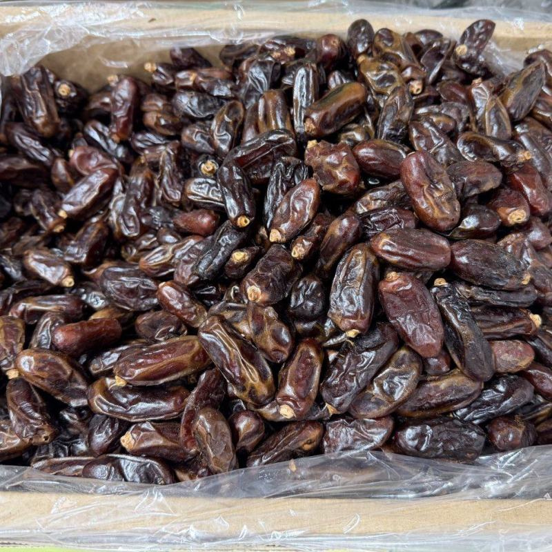 伊朗黑椰枣各种规格都有一手货源价格优惠供应全国