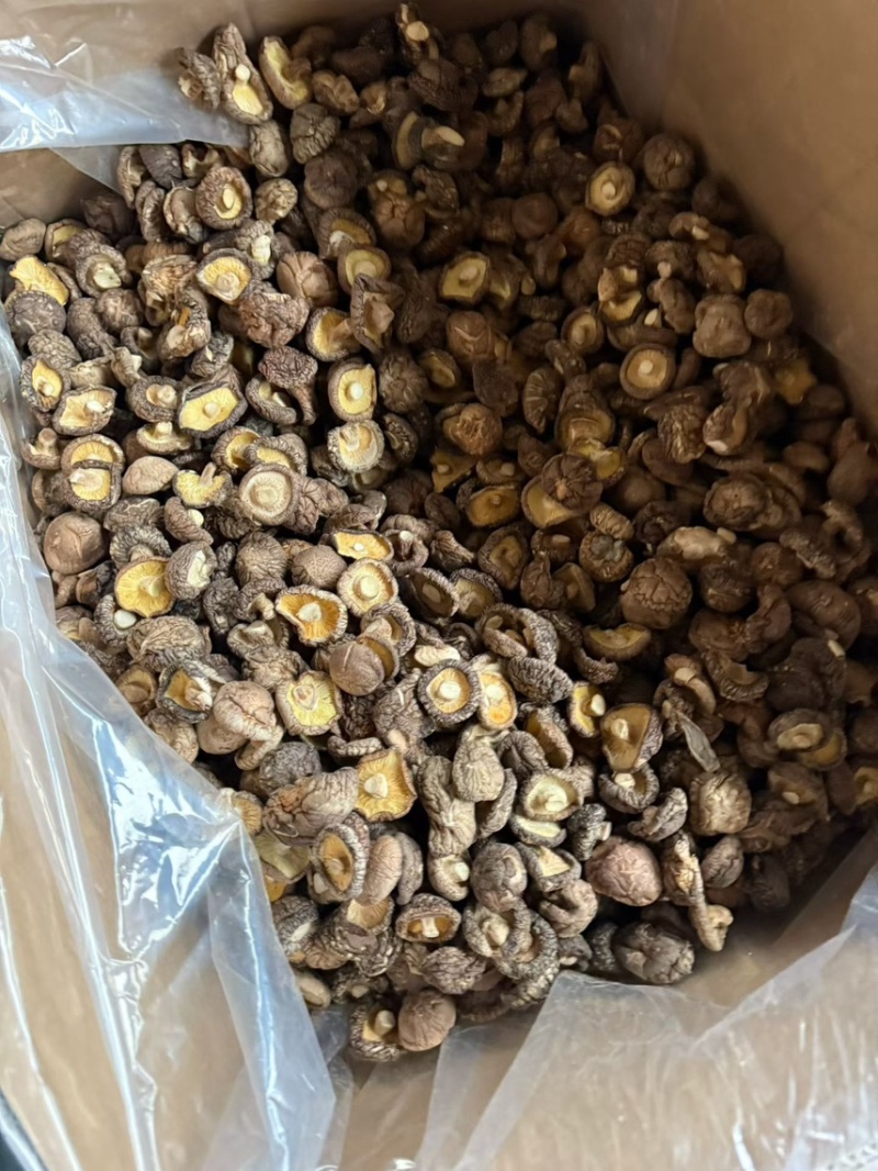 平泉产地干香菇鲜香菇
