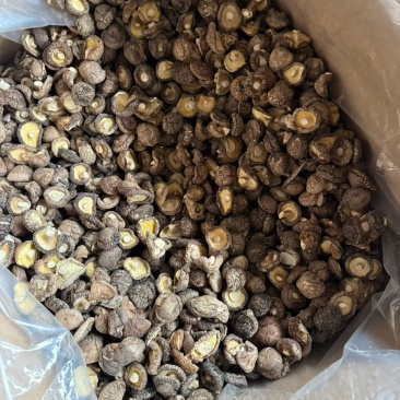 平泉产地干香菇鲜香菇