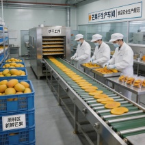 芒果干现货5吨电商处理生产日期2026年月