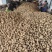 黄心土豆沃土五号