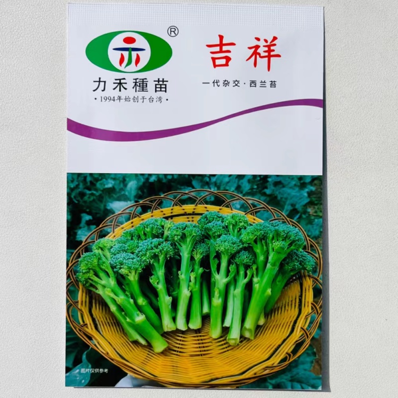 【力禾种苗】吉祥西兰苔种子西兰花芦笋青花菜芥兰基地优选蔬