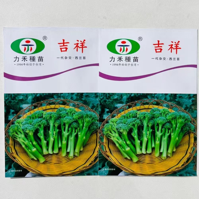 【力禾种苗】吉祥西兰苔种子西兰花芦笋青花菜芥兰基地优选蔬