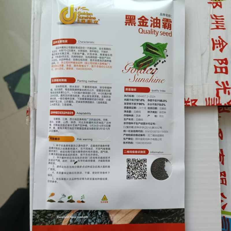 黑金一条鞭芝麻种子中早熟杂交黑芝麻种子黄杆黄朔抗倒伏产量