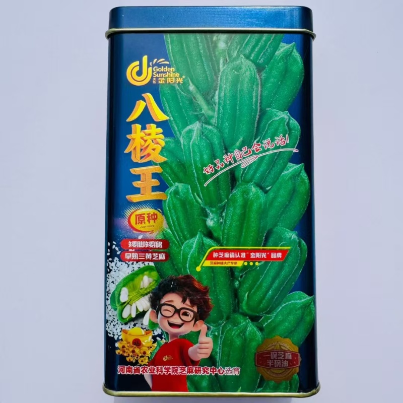 八棱王芝麻种子单杆型八棱芝麻高出油抗倒高产白芝种子