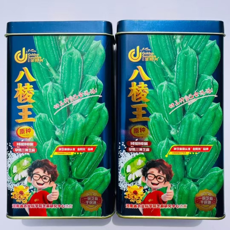 八棱王芝麻种子单杆型八棱芝麻高出油抗倒高产白芝种子