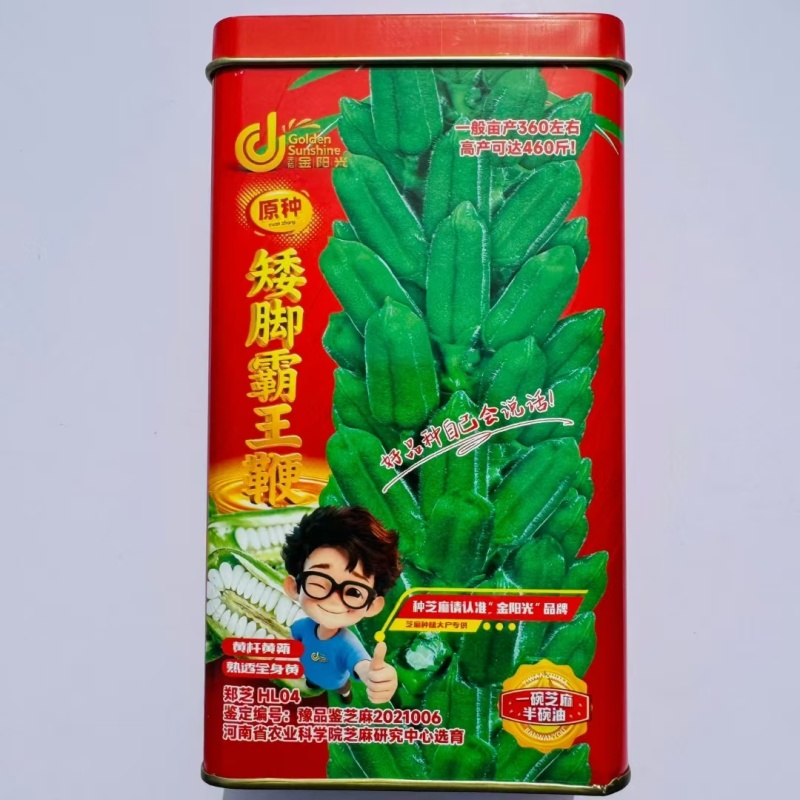矮脚霸王鞭芝麻种子中早熟杂交一代白芝麻种子茎秆粗壮不倒伏