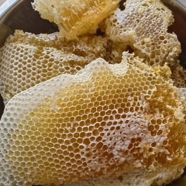 土蜂蜜