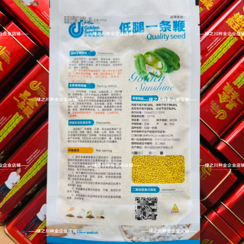 矮脚霸王鞭芝麻种子原种低腿黄杆黄蒴白芝麻种子高产抗病芝麻