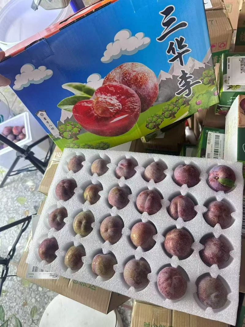 三华李三月李红心脆甜钱排电商一件代发产地直发