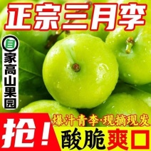 李子三月李青脆李脱骨李酸脆李电商一件代发