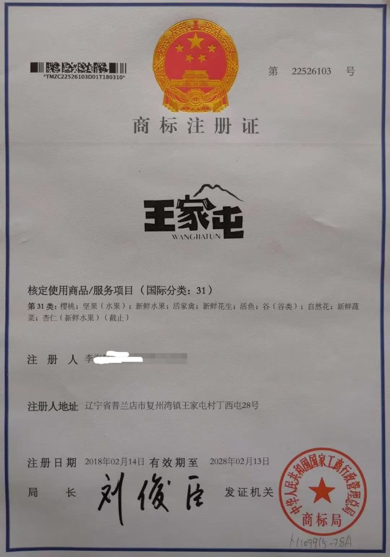 预售大连复州湾陆地樱桃