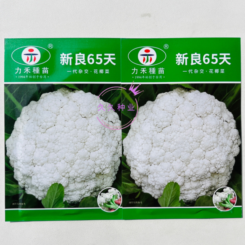 新良65天松花菜种子青梗白色有机花椰菜高产耐寒耐湿易种