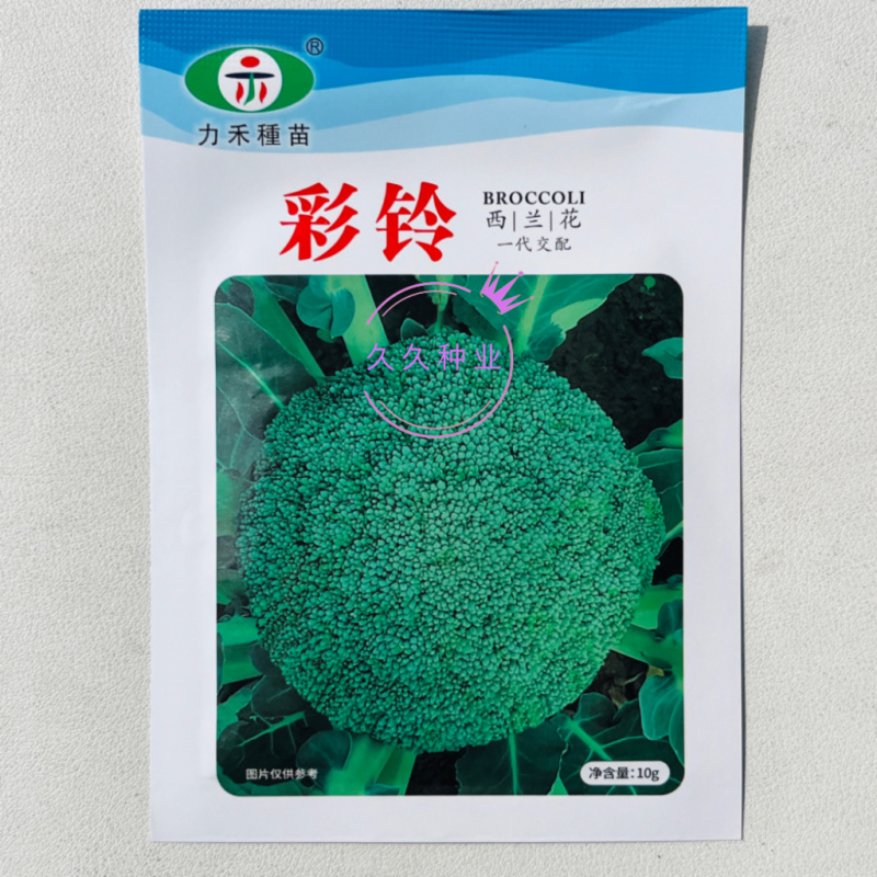 彩铃西兰花种子高产抗病耐寒耐热耐抽苔绿花菜籽农家春秋季播