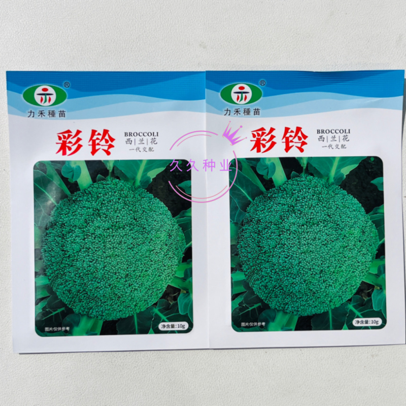 彩铃西兰花种子高产抗病耐寒耐热耐抽苔绿花菜籽农家春秋季播