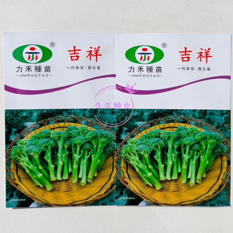 吉祥西兰苔种子正品杂交一代1000粒甜杆西兰苔青菜花芥蓝