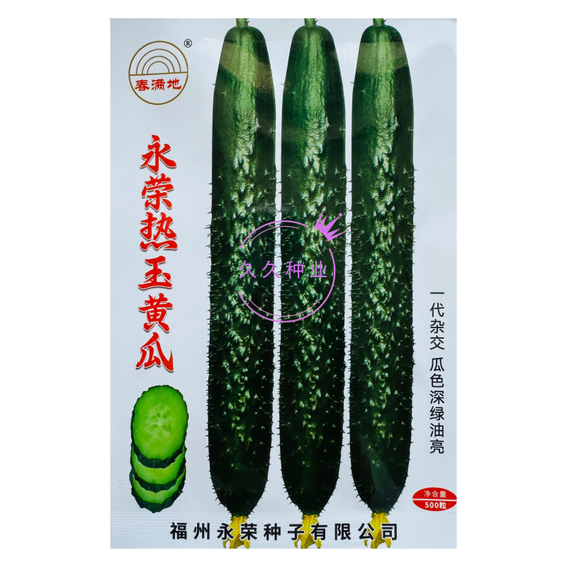 永荣热玉黄瓜种子瓜条深绿油亮顺直高产黄瓜种籽短把密刺果肉