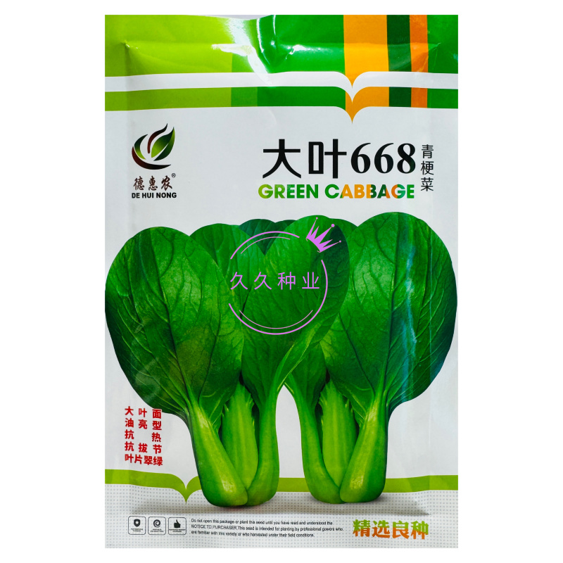 大叶668青梗菜种子植株直立叶柄绿耐热耐湿生长速度快青梗