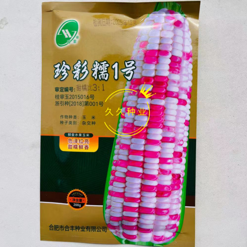 珍彩糯1号玉米种子鲜食水果杂交玉米种色泽红亮甜糯鲜香果穗