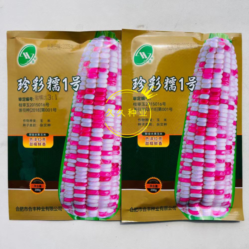 珍彩糯1号玉米种子鲜食水果杂交玉米种色泽红亮甜糯鲜香果穗