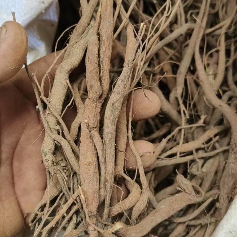 千斤拨云南千斤拔一手货源诚信合作量大从优