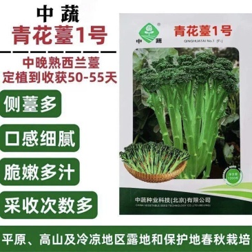 中蔬青花薹1号西兰薹种子一代杂交侧薹多甜杆西兰苔种籽西洋