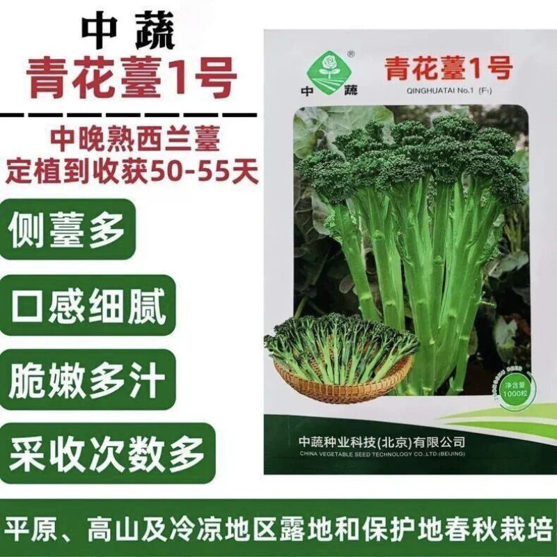 中蔬青花薹1号西兰薹种子一代杂交侧薹多甜杆西兰苔种籽西洋