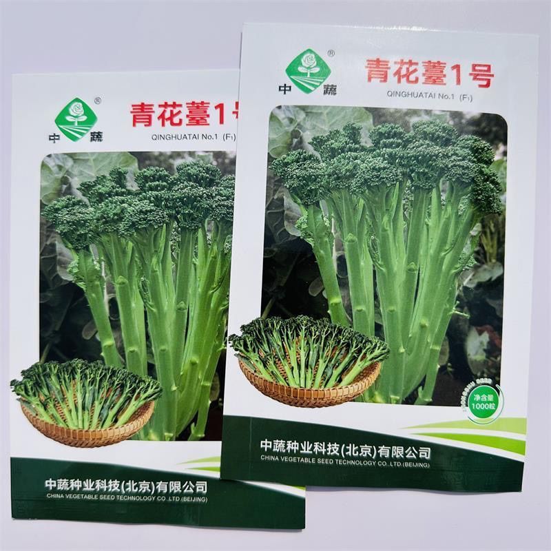 中蔬青花薹1号西兰薹种子一代杂交侧薹多甜杆西兰苔种籽西洋