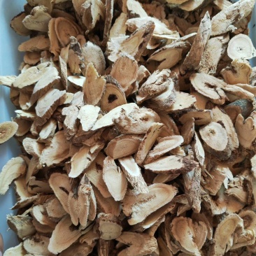 黄芪残片