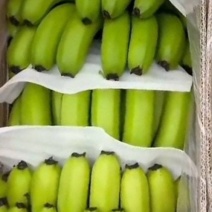 【香蕉】香蕉，海南香蕉/条装香蕉/香蕉代办/苹果香蕉