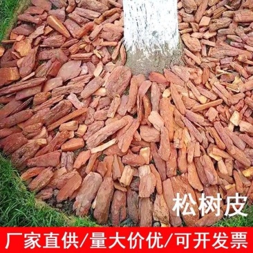 松树皮市政绿化园林造景工程用