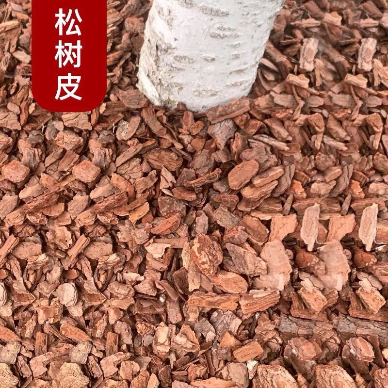 松树皮市政绿化园林造景工程用