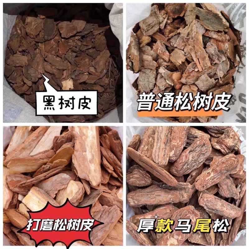 松树皮市政绿化园林造景工程用