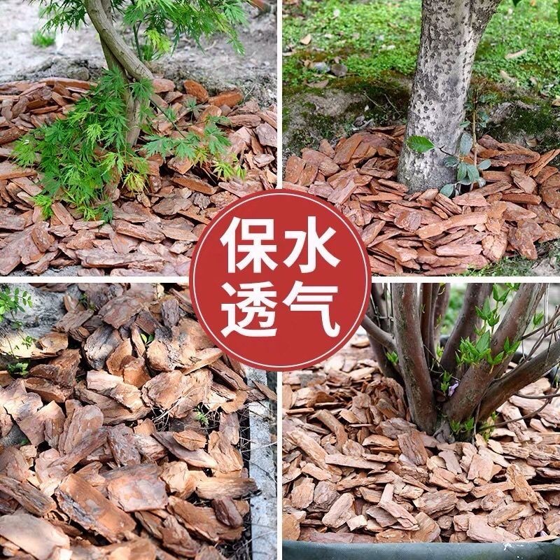 松树皮市政绿化园林造景工程用