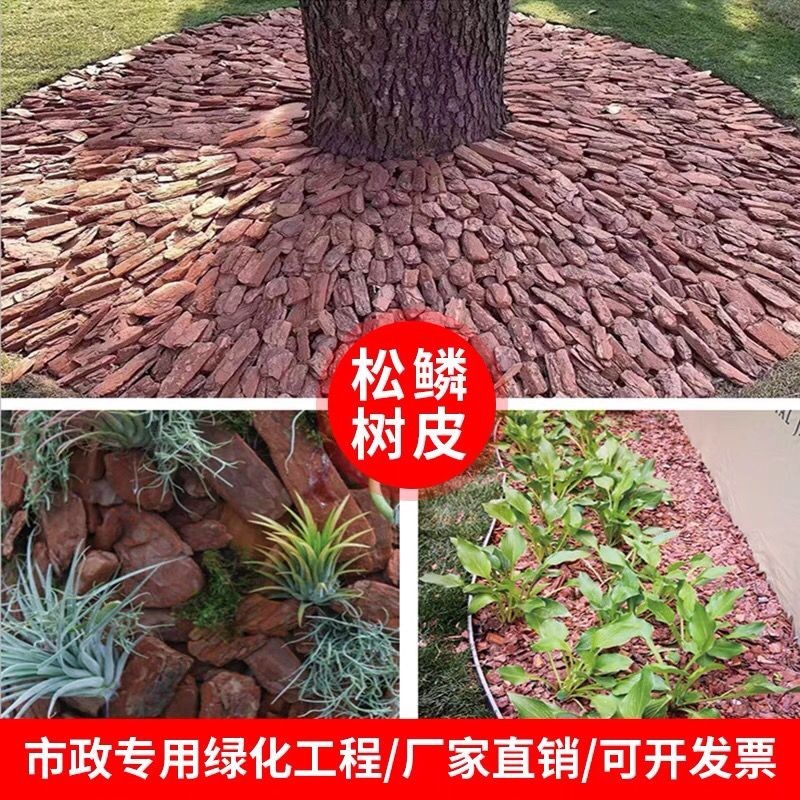 松树皮市政绿化园林造景工程用
