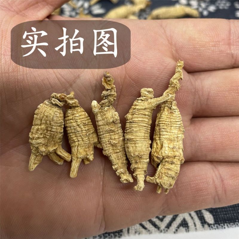 正宗东北西洋参粒头正品西洋参散装批发西洋参送长辈西洋参批