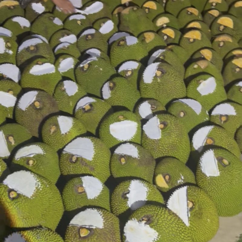 海南红肉泰八菠萝蜜可分大小规格质量三包服务我们是认真做果