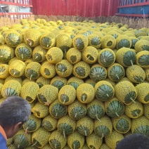 蒲城各种精品吊篮，产地直发，专业验瓜，一条龙服务