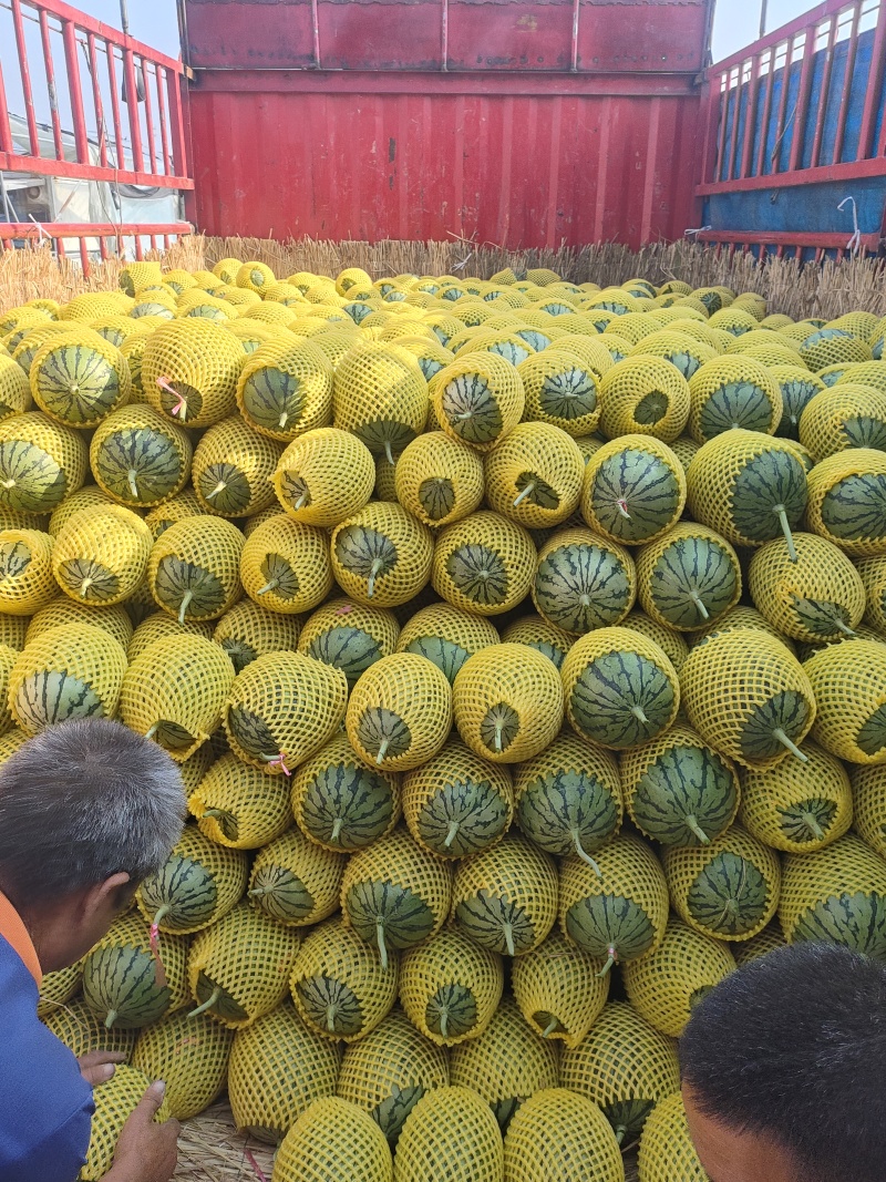 蒲城各种精品吊篮，产地直发，专业验瓜，一条龙服务