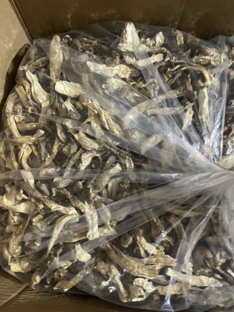 鹿茸菇可地摊商超餐饮可视频看货现货供应