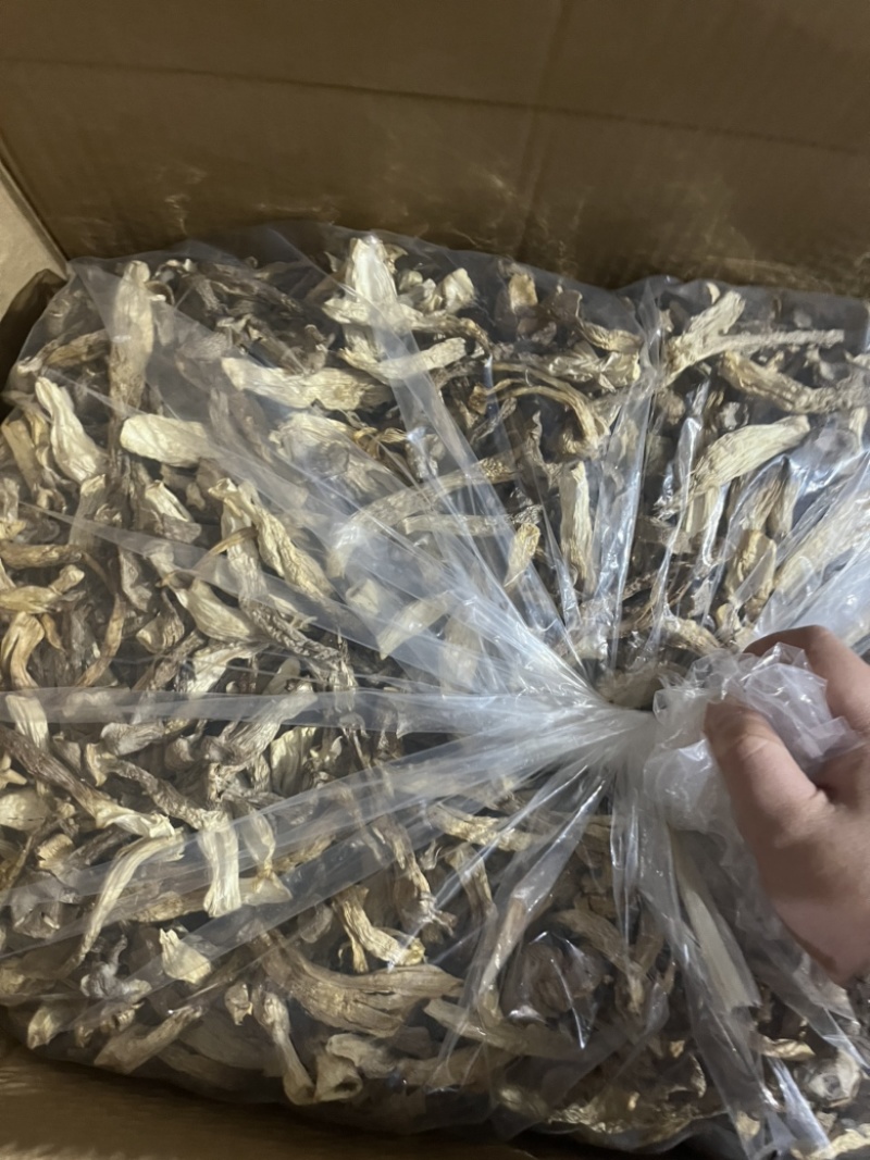 鹿茸菇可地摊商超餐饮可视频看货现货供应