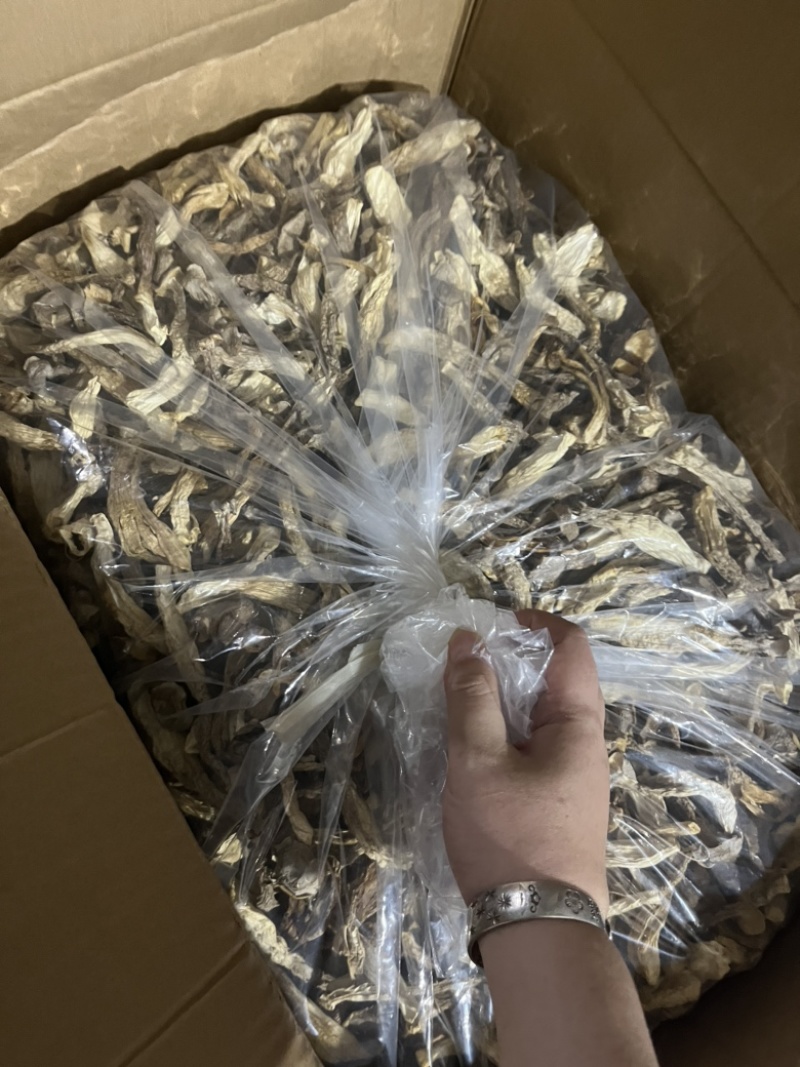 鹿茸菇可地摊商超餐饮可视频看货现货供应