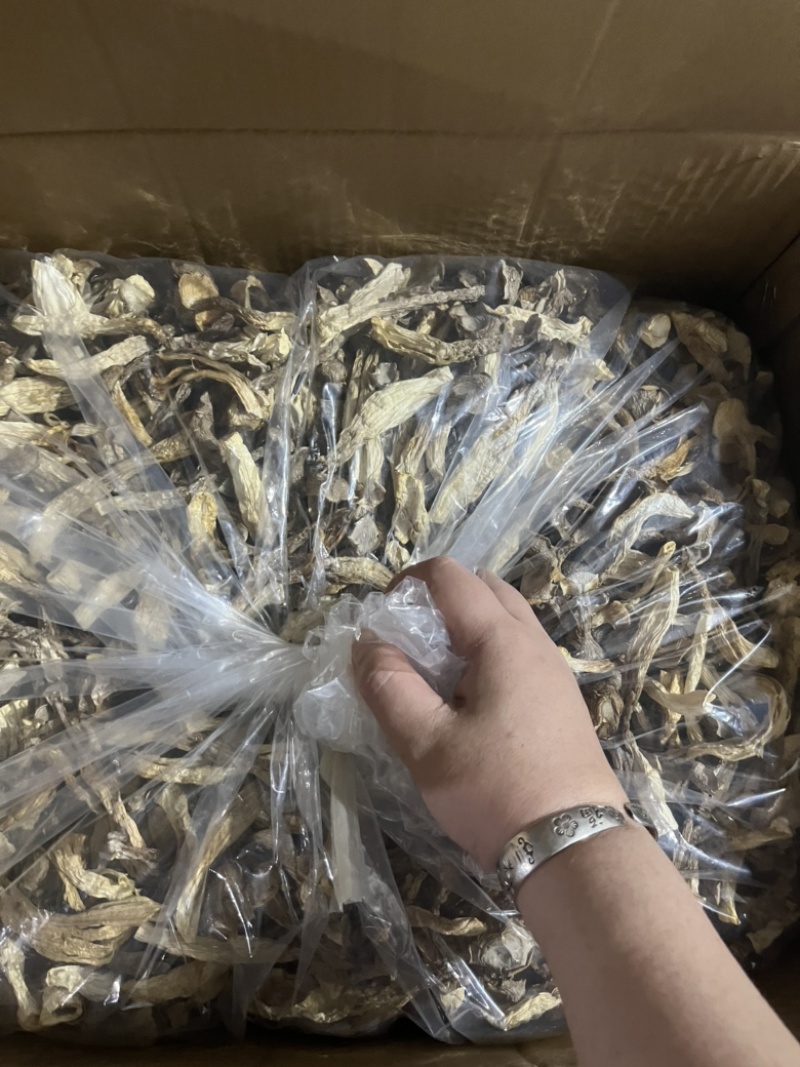 鹿茸菇可地摊商超餐饮可视频看货现货供应