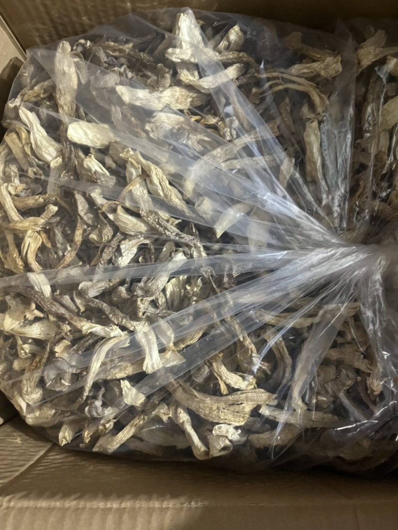 鹿茸菇可地摊商超餐饮可视频看货现货供应