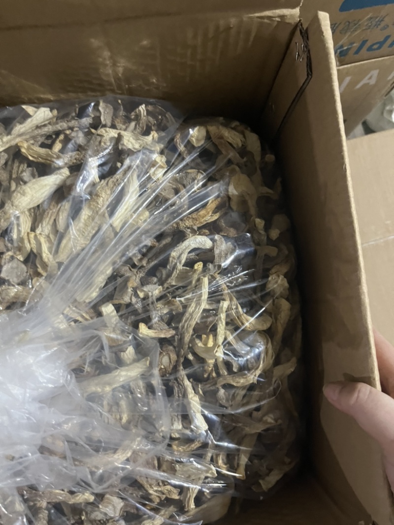 鹿茸菇可地摊商超餐饮可视频看货现货供应