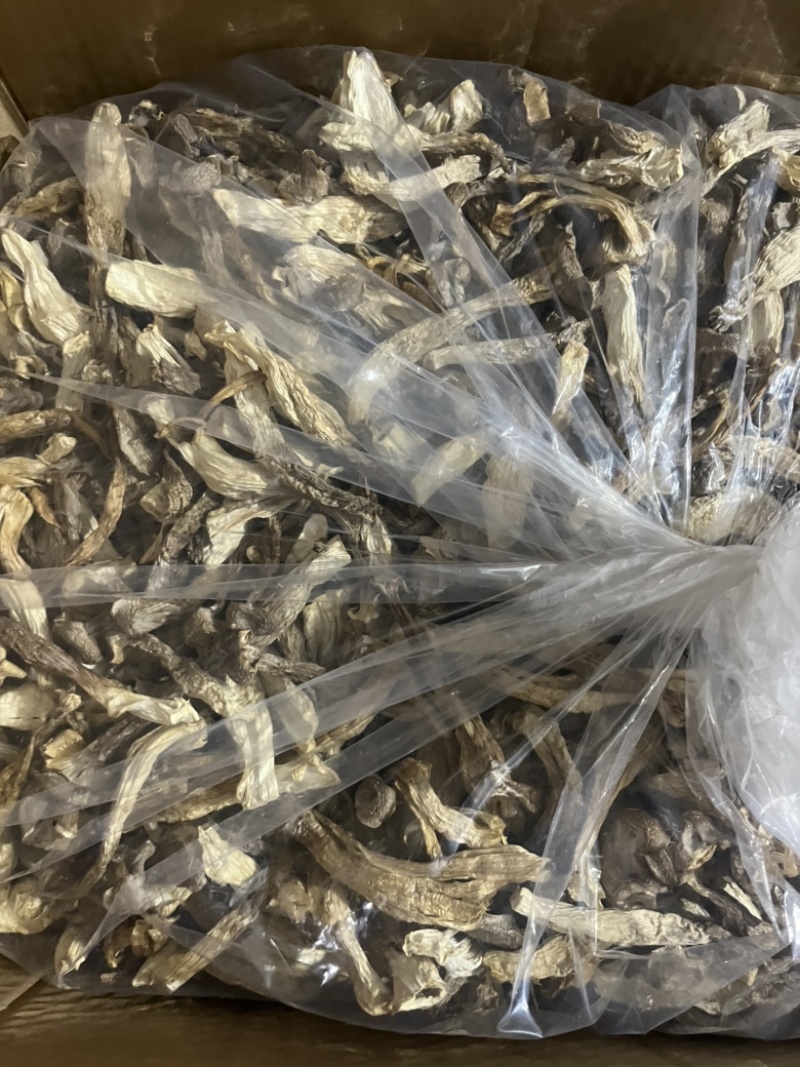 鹿茸菇可地摊商超餐饮可视频看货现货供应