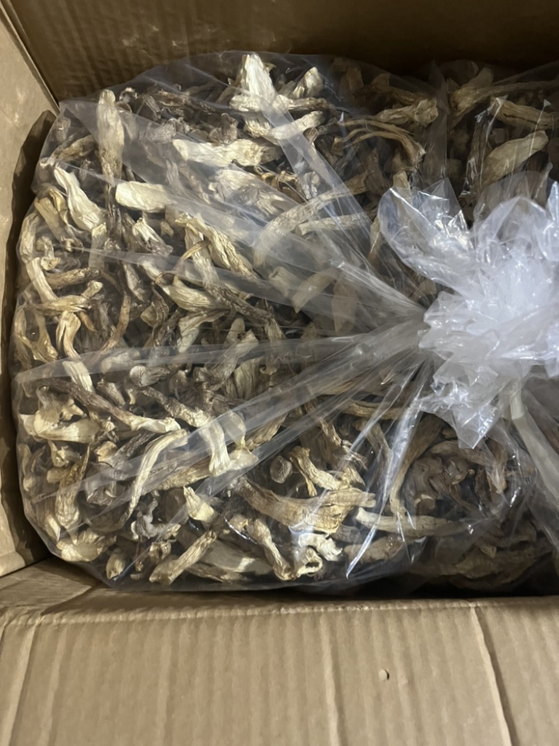 鹿茸菇可地摊商超餐饮可视频看货现货供应