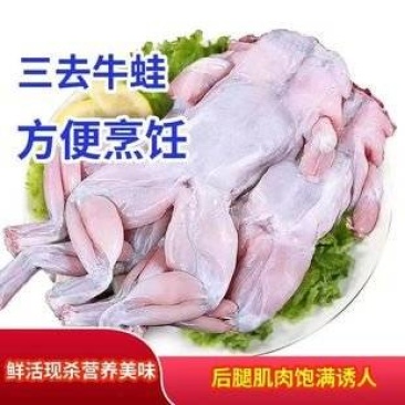 新鲜宰杀牛蛙，蛙腿，速冻牛蛙，一手货源，餐饮，冻品批发
