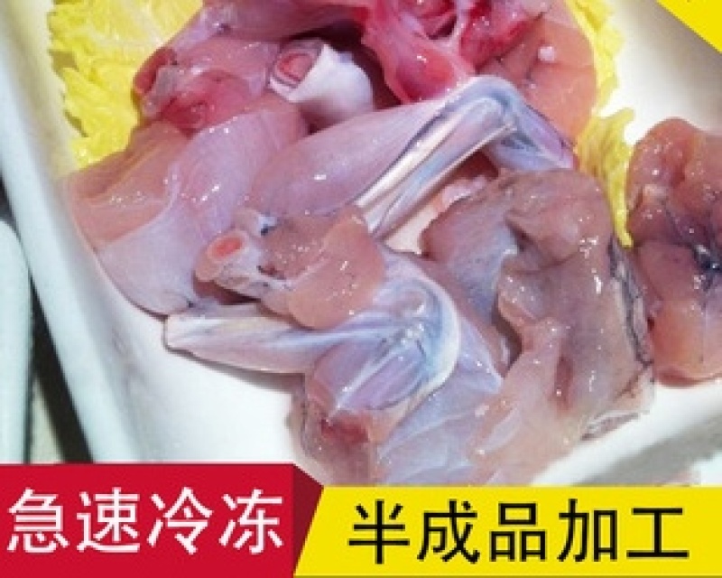 新鲜宰杀牛蛙，蛙腿，速冻牛蛙，一手货源，餐饮，冻品批发