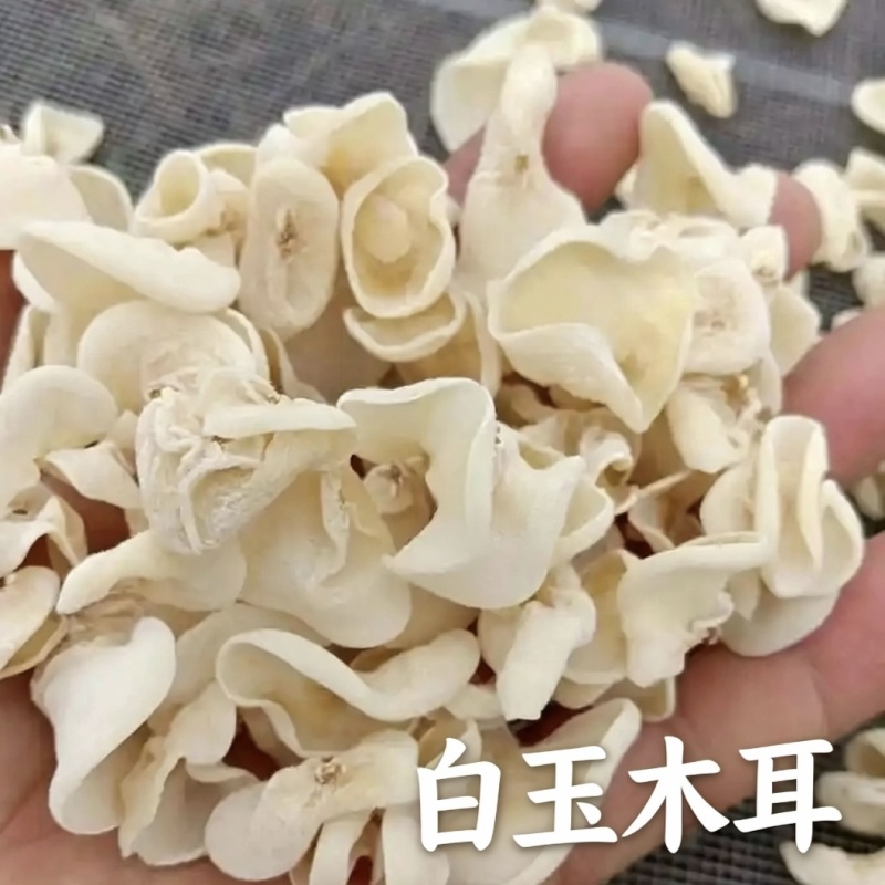 2026白玉木耳干货批发山东鱼台县产地直供一手货源